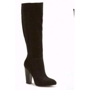 Faryl Robin Suede Pointy Toe Knee High Boots